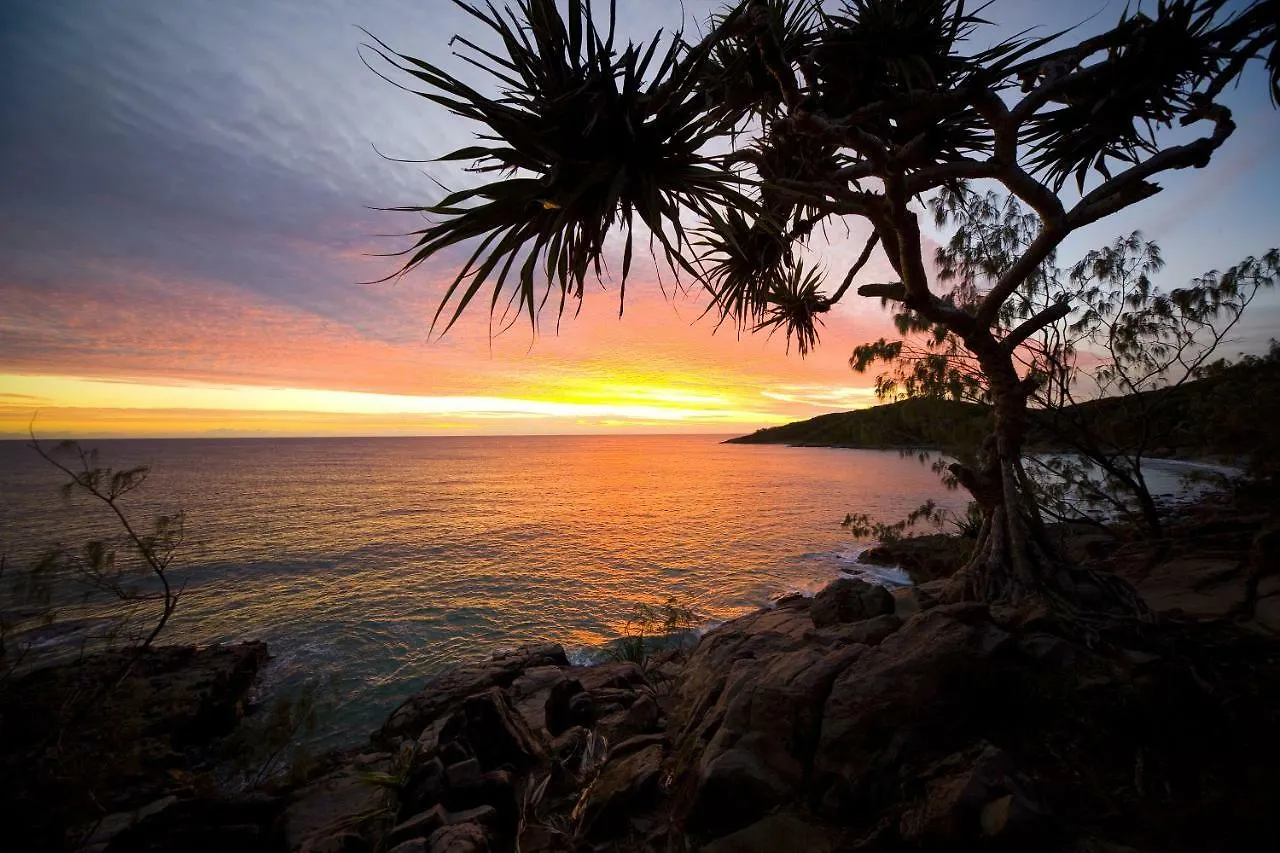 Akoakoa - Sunrise Beach Australia